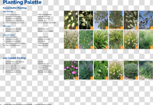 Pdf Creator   Yard  HD Png Download