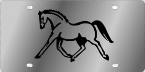Lifestyle   Ss Plate   Horse   Mane  HD Png Download