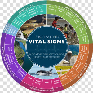 As Of 2016  The Puget Sound Vital Signs Wheel Shows   Puget Sound Vital Signs  HD Png Download