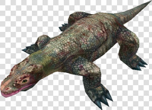 Download Zip Archive   Marine Iguana Transparent  HD Png Download