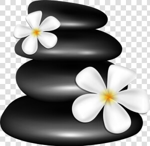 Spa Stones With White Flowers Png Clipart Image   Spa Clipart Png  Transparent Png