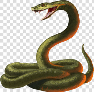 Transparent Viper Snake Png   Transparent Snake Png  Png Download