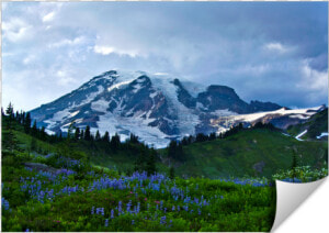 Summer At Mount Rainier   Mount Rainier National Park  Nisqually Glacier  HD Png Download