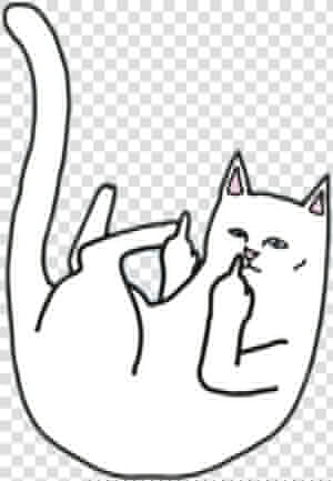 Png  Png Tumblr  And Gato Grosero Image   Ripndip Wallpaper Iphone X  Transparent Png