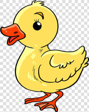 How To Draw Baby Duck   Draw A Baby Duck  HD Png Download