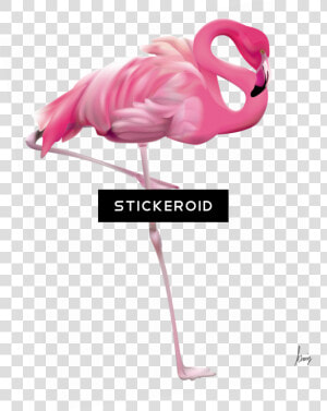 Flamingo Yard   Png Download   Portable Network Graphics  Transparent Png