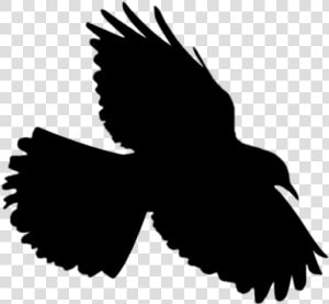  bird  flying  flyingbird  silhouette  HD Png Download
