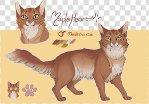 Warrior Cats Babies Png Jpg Transparent Stock   Squitten  Png Download