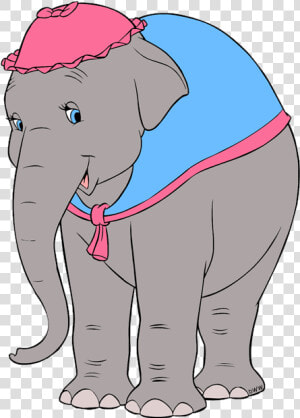 Dumbo Mrs Jumbo Clipart  HD Png Download