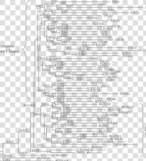 All Adds Up Worksheet Social Studies Key  HD Png Download