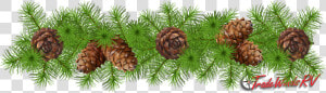 Pinecone Clipart Greens   Pinecone Garland Clipart  HD Png Download