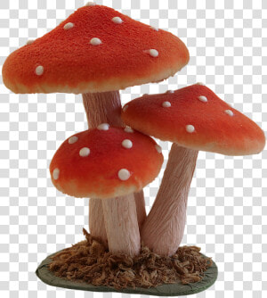 Mushroom  Fly Agaric  Forest  Nature  Autumn  Toadstool   Shiitake  HD Png Download