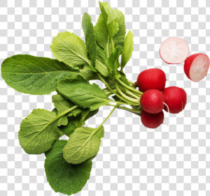 Radish   Marie  39 s Dressing Market Reserve  HD Png Download