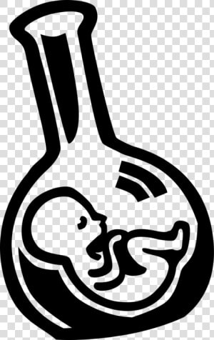 Vector Illustration Of Fetus Prenatal Human Between   Test Tube Baby Clip Art  HD Png Download