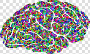 Magnetite In Humans Brain  HD Png Download