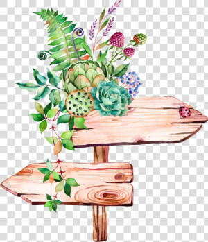 Succulent Plant Illustration Watercolor Signs Painting   Succulent Watercolor Png  Transparent Png
