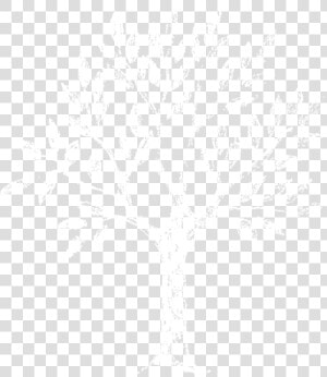 Clip Art Chalkboard Art Png   White Chalk Drawing Transparent  Png Download