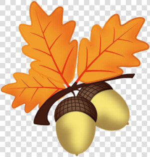 Bellota Otoño   Oak Leaves Clip Art  HD Png Download