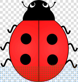 Lady Bird Clipart Clipart Collection U00ba Clipart   Ladybird With 2 Spots  HD Png Download
