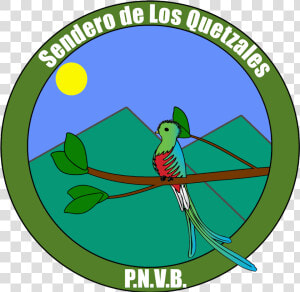 Quetzal Png  Transparent Png