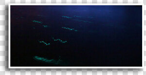 Bermudas  HD Png Download