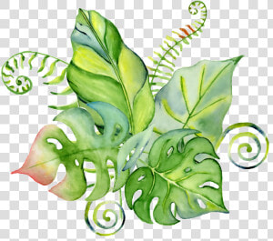 Hoja Vector Png   Dinosaur Baby Shower Invitation  Transparent Png