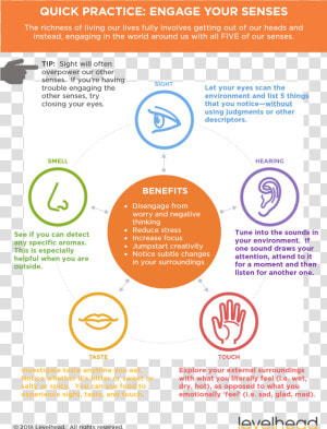 Transparent Mad Eyes Png   Things You Can Do With Your Senses  Png Download