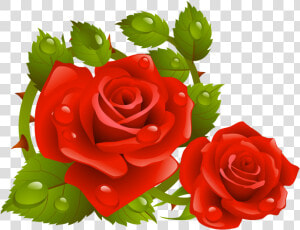 Rose Flowers Wallpaper 3d Clipart   Png Download   Rose Corner Border Png  Transparent Png
