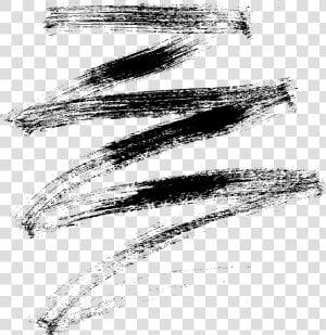 Zig Zag Png  Transparent Png