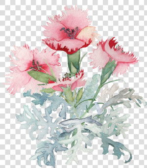 Deep Cove Flowers   Flower Watercolor Png  Transparent Png