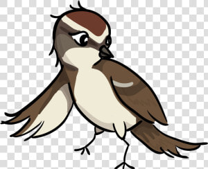Firefly Clip Art   Sparrow Png Clipart  Transparent Png