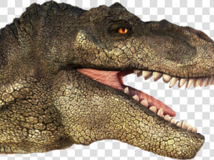 Tyrannosaurus Rex Clipart Transparent   T Rex Head Png  Png Download