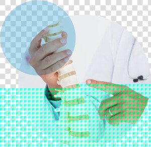 Spine  HD Png Download