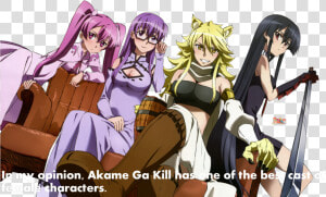 Akame Ga Kill Night Raid Girls  HD Png Download
