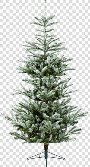 Fir Tree Png Hd Wallpaper   Buy 4 Foot Christmas Tree Nz  Transparent Png