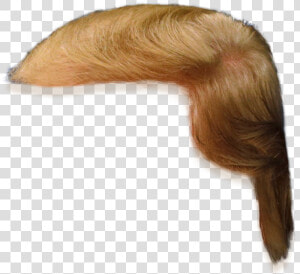 Donald Trump Hair Only  HD Png Download