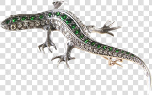 Salamander Png Transparent Image  Png Download