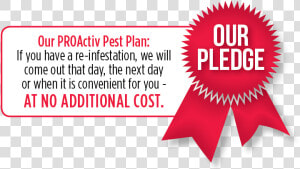 Year Round Pest Control Snow Hill  Md   Graphic Design  HD Png Download