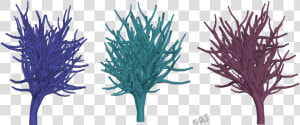 Pond Pine  HD Png Download