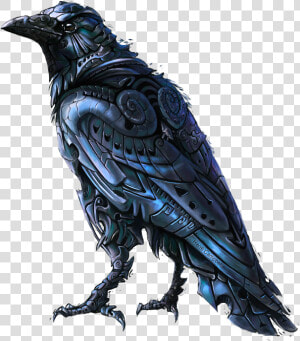  mq  black  crow  bird  birds   Crow Drawing  HD Png Download