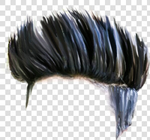Hair Png Download Hd Quality Latest Cb Hair Png Stock   Insect  Transparent Png