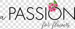 A Passion For Flowers   Rosa Glauca  HD Png Download