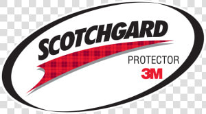 3m Logo Vector   3m Scotchgard Logo Transparent  HD Png Download