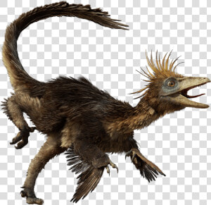 Dfhj   Dinosaurs Troodon  HD Png Download