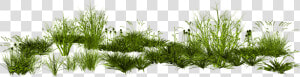 Gimp Rendering Photoscape Creative Green Grass Png   Png Transparent Background Grass Png  Png Download