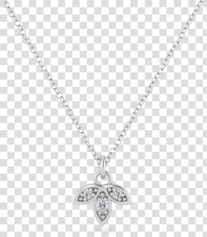 Ivy Leaf Silver Necklace   Locket  HD Png Download