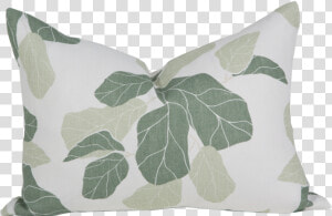 Fiddle Leaf Fig   Png Download  Transparent Png