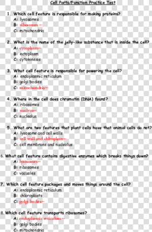 Cell Parts Function Practice Test  HD Png Download