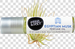 Egyptian Musk Perfume Oil  HD Png Download