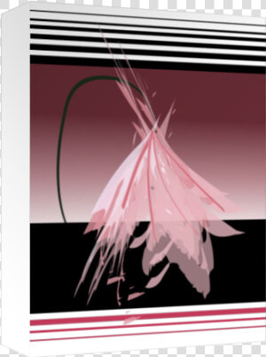 Pink Japanese Flower   Jellyfish  HD Png Download